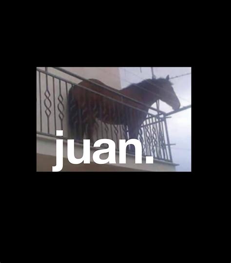 meme caballo juan|juan the horse balcony meme.